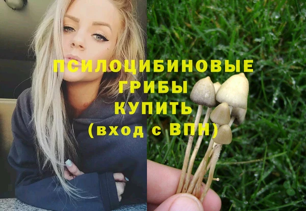 ALPHA PVP Долгопрудный