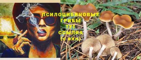 ALPHA-PVP Новый Уренгой