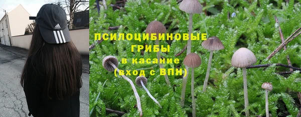 ALPHA-PVP Новый Уренгой