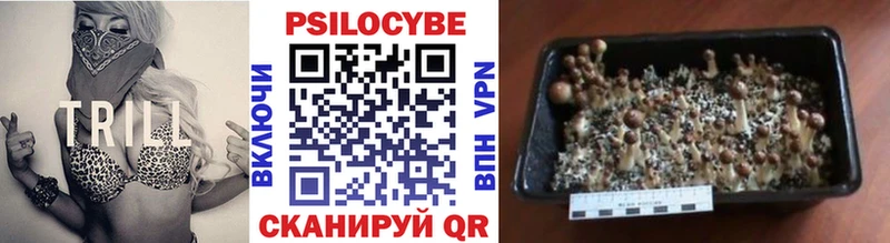 как найти наркотики  Александровское  Псилоцибиновые грибы мухоморы 